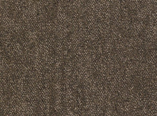 Фото - ковролина coral (unique) 06 (haima)